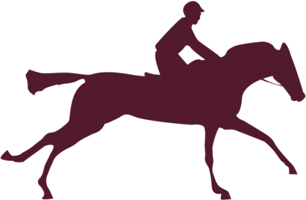 Eadweard Muybridge Horse (600x600)