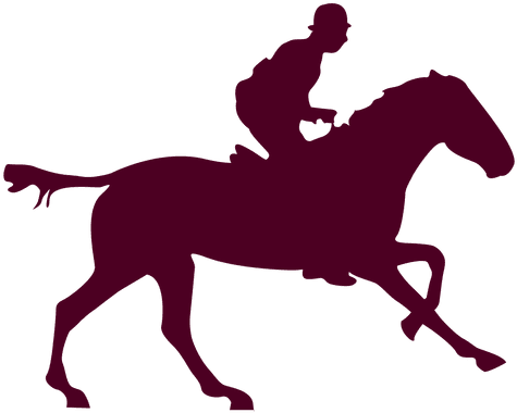 Cavalo Sequência Equitação - Sequence Images Png (512x512)