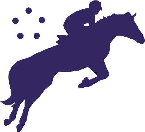 Современное Пятиборье - Stallion (539x425)