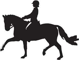 Dressage (404x316)
