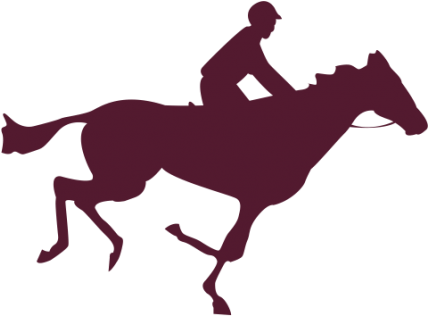 Eadweard Muybridge Horse (600x315)