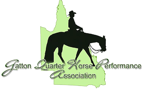 Gatton Quarter Horse & Performance Association Aa Show - Horse (482x307)