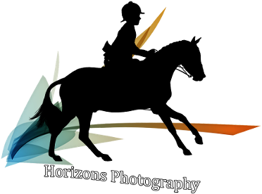 Platinum Sponsors - Silhouette (411x357)