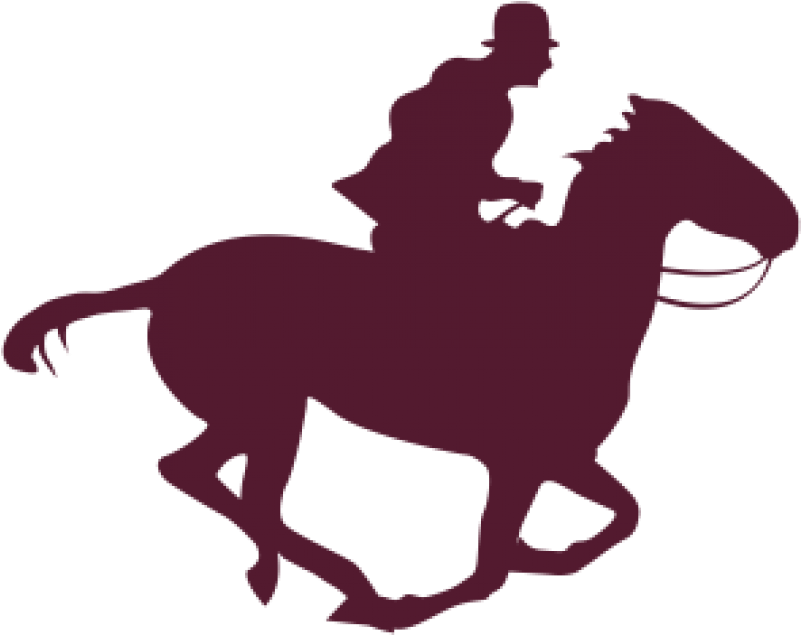 Sequence Images Png (800x800)