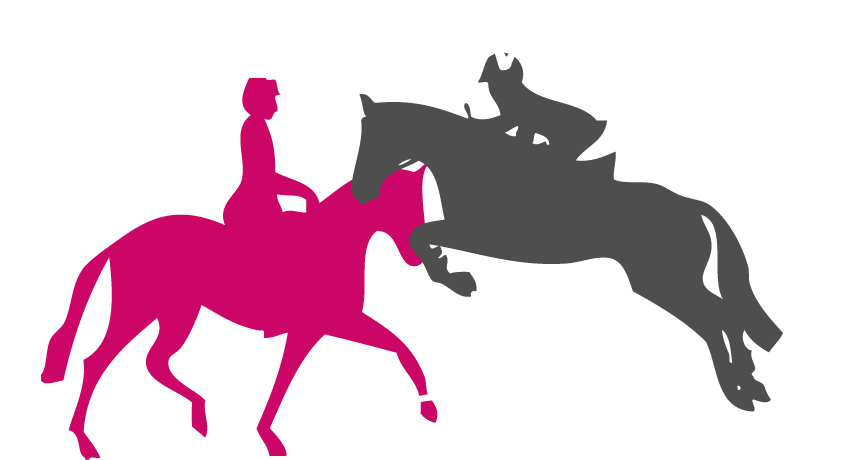 Disclaimer - - Hunter Jumper Horse Silhouette (897x466)