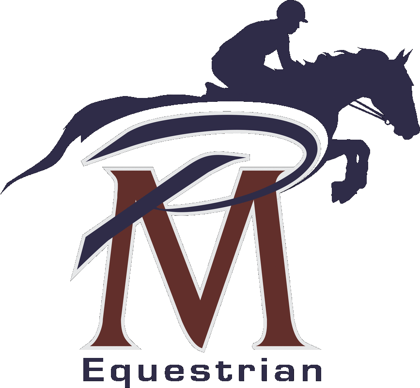 Pablo Mejia Equestrian, Llc - Stallion (867x800)