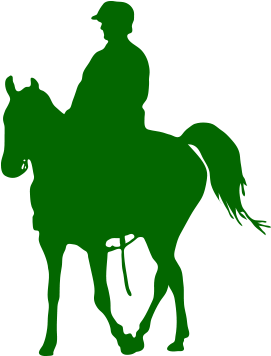 Vivi - Stallion (500x390)