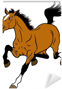 Horse Riding Cartoon (400x400)