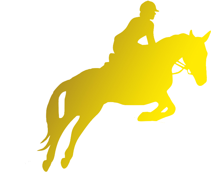 Der Reiter Ist Unternehmer, Wenn Er Seine Tätigkeit - Equestrian Sport (849x600)