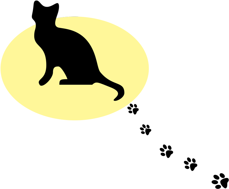 2015 Kitty Angels Inc - Kitten Meow Shower Curtain (800x708)