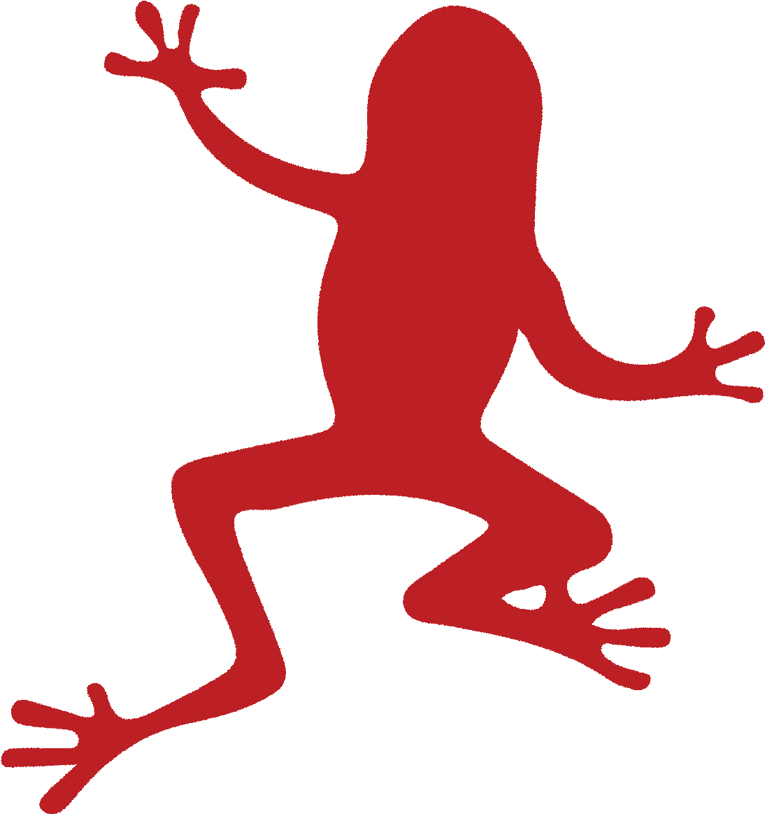 Family Friendly Tours In Guyana - True Frog (1133x1181)