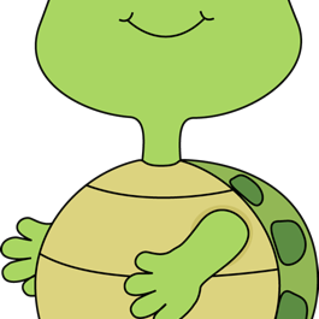 Cute Turtle Clipart Turtle Clip Art Turtle Images Classroom - Clip Art (1024x1024)