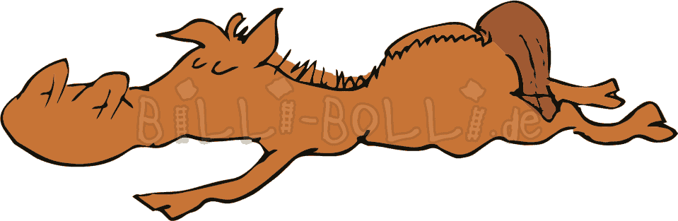 At Assembly Height 4, It Is Suitable For Children Aged - Furniture (959x313)