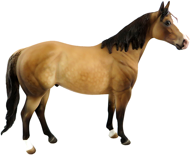 Horse, Brown, Isolated, Brown Horse, Animal - Horse (916x720)