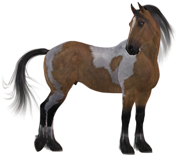 Horse Colorful Brown Mane White Animal Mou - Stallion (418x340)