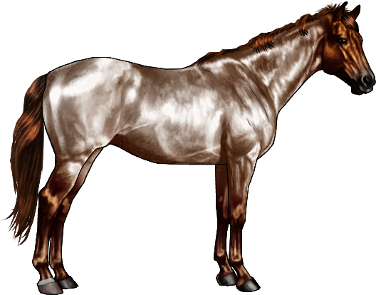 Horse Black And White Old (600x500)