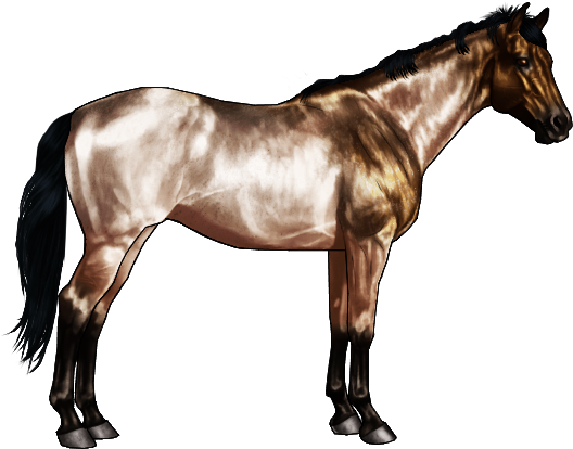 Bay Roans Are Bay Horses With The Roan Gene, They Retain - Horse Black And White Old (600x500)