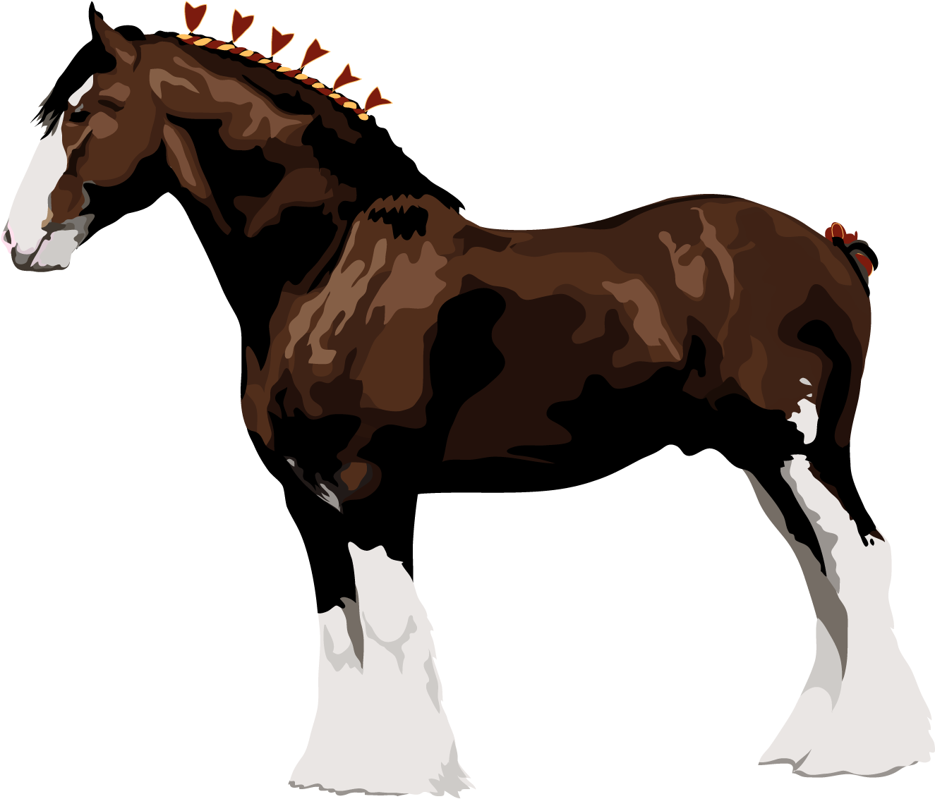 Clydesdale - Clydesdale Horses (1800x1400)