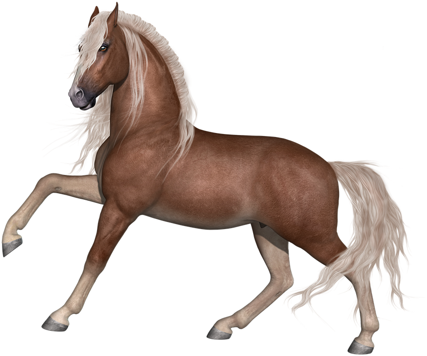 Horse, Stallion, Animal, Farm, Equine, Equestrian, - Animal Farm Horse (855x720)