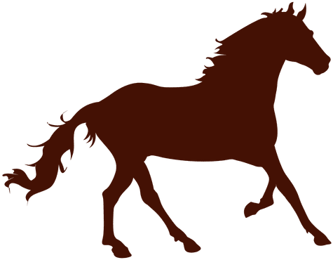 Farm Horse Running Silhouette Transparent Png - Ramirez Tran Salon (512x512)