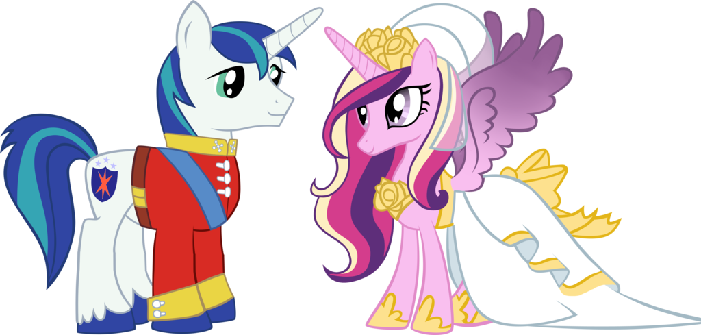 My Little Pony Friendship Is Magic Princess Cadence - My Little Pony Shining Armor And Cadence (1024x489)