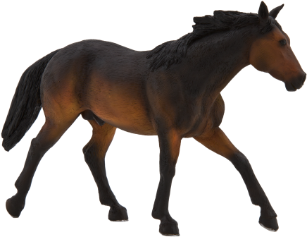 Quarter Horse Sooty Bay - Sooty Bay Horse (540x360)