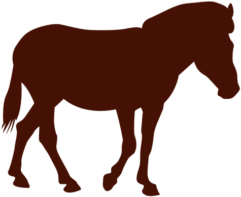 Horse Standing Farm Silhouette Transparent Png - Silueta Caballo Png (512x512)