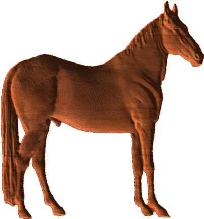 Horse - Cl - Vizsla (430x430)