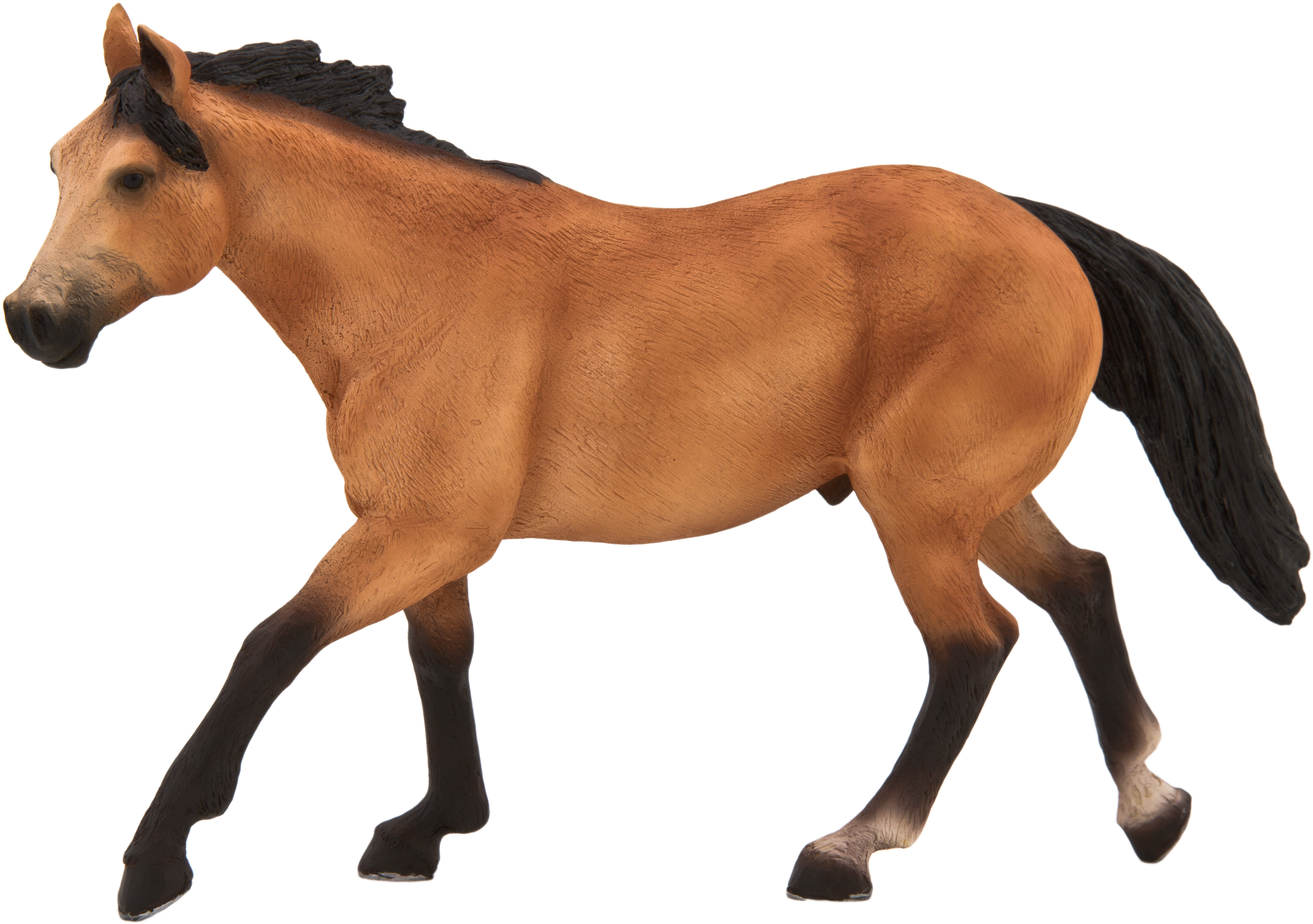 Mojo Fun Quarter Horse (5184x3456)