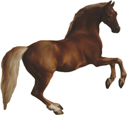 1800's Horse Jumping Png By Chaseandlinda - The National Gallery Shop (570x687)