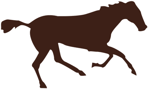Horse Galloping Motion Sequence - Free Horsemanship Pngs (512x512)