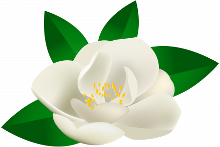 Rose Bush Clipart Transparent - Green Lotus Flower Transparent (450x300)