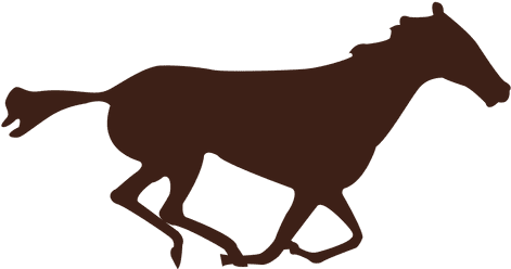 Horse Galloping Motion Sequence - First High Speed Photography (512x512)