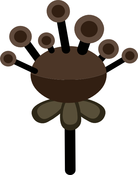 Vector Graphics (468x593)