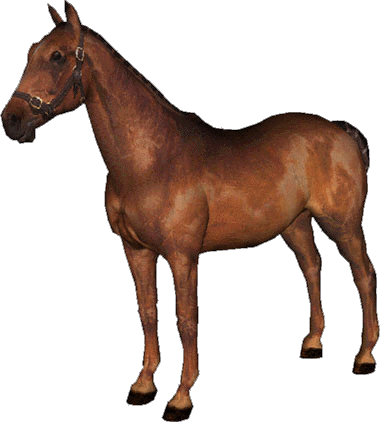 The Bluefield Shrine Horse Show Is On July 21, 22, - Brown Horse Transparent Background (380x422)