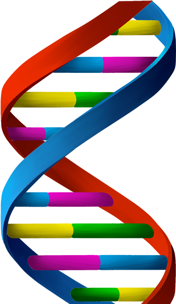 Secret Society - Angadeshcha Vajir-januka ( अंगदेशाचा वजीर-जनुक ) (first (399x621)