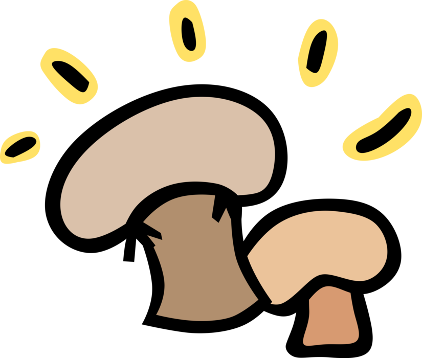 Vector Illustration Of Edible Mushrooms Or Toadstool - Definition:breaks (825x700)