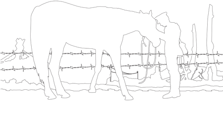 Trojan War Horse Coloring Page War Horse Colouring Pages 450x318 Png Clipart Download