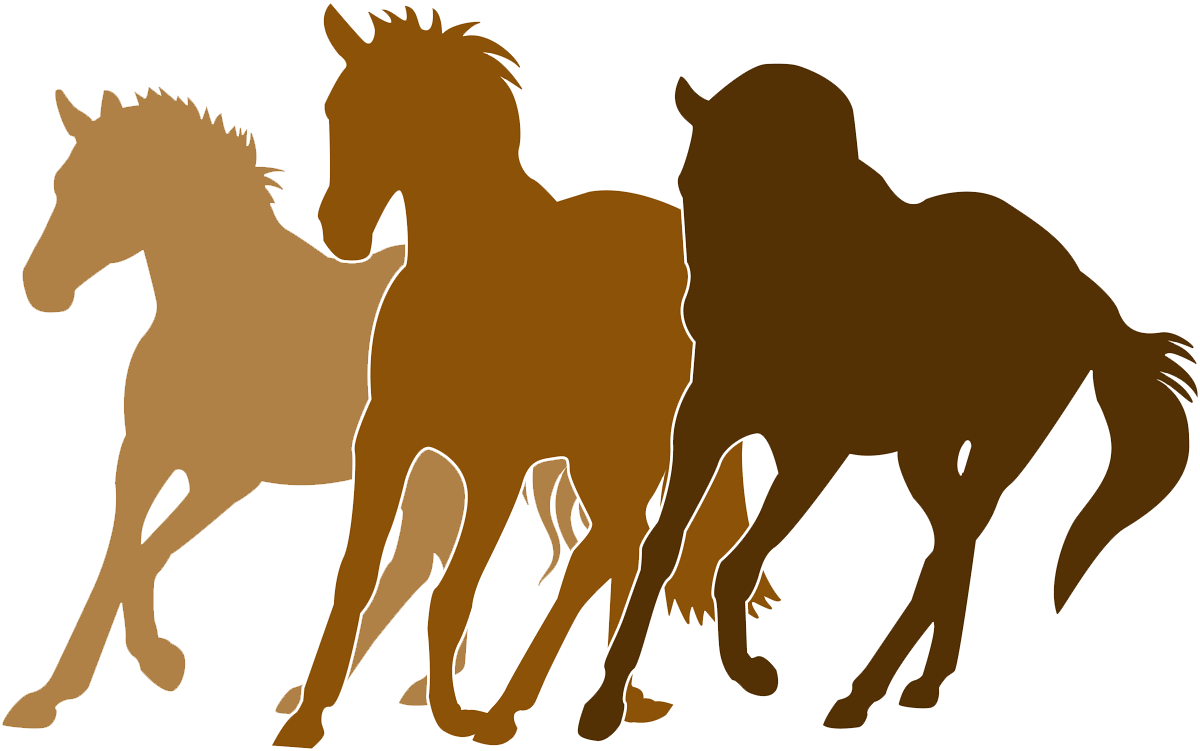 Right Ride Horses - Horse In Heaven Quotes (1200x751)