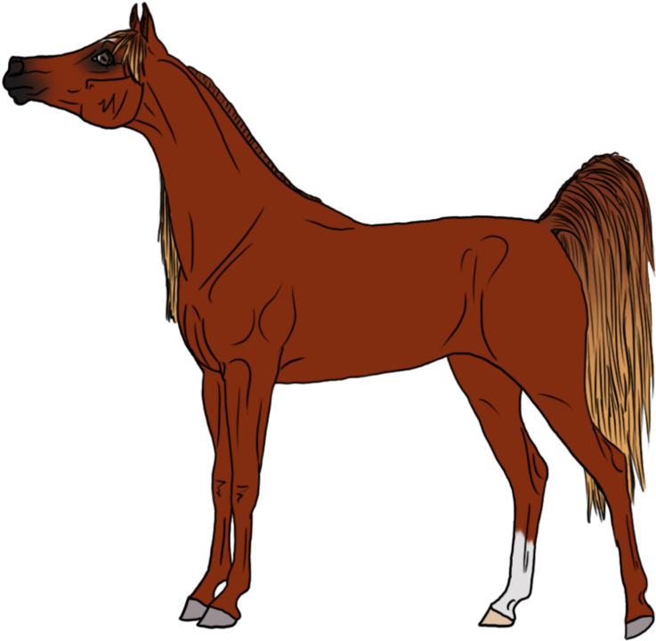 Lilium Stables Magdala By Angry Horse For Life - Horse (999x799)