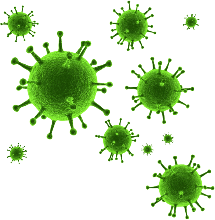 Virus Png - Virus Transparent (800x794)