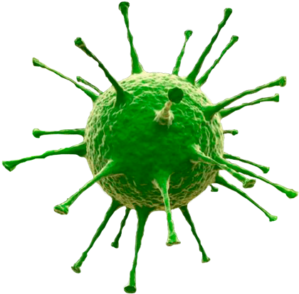 Virus Png Image With Transparent Background - Virus Transparent (600x451)