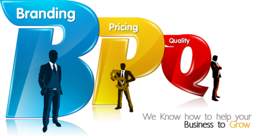 Online Brand Promotion - Branding And Promotion (500x269)