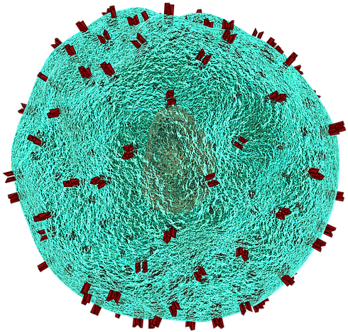 The Hiv Aids Virus Alert - Tumor Antigen Heterogeneity (640x640)