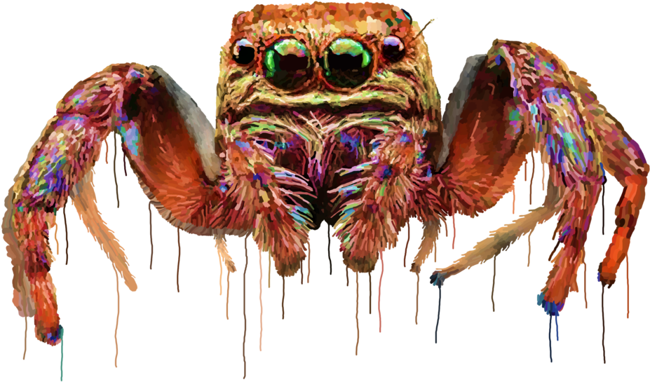 Spider Psychedelic By Yaoinoyume - Cancer (1024x615)