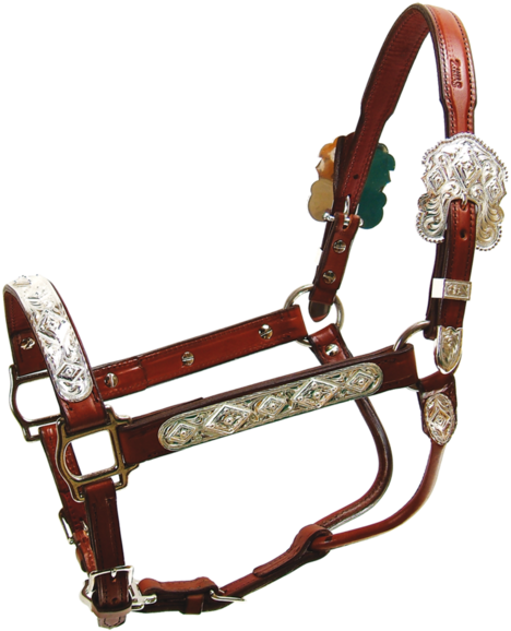 Silver Show Horse Tack - Amazon Cloudfront (502x600)