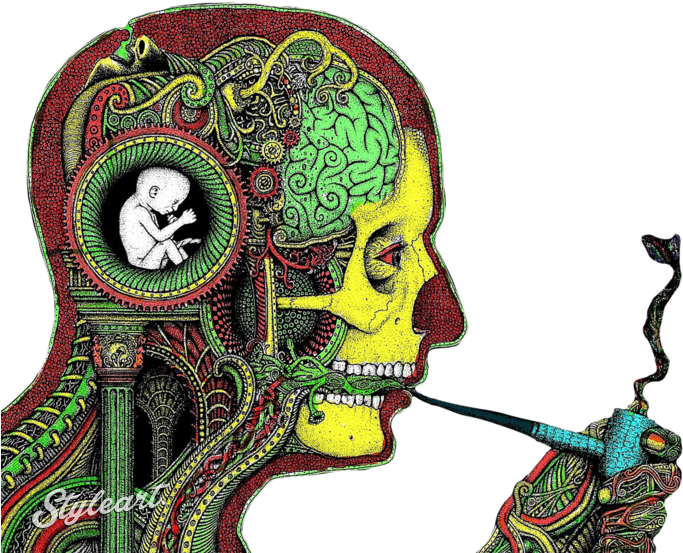Psychedelic Man Smoking Dope Design By Nelson - Psychedelic Art (691x560)