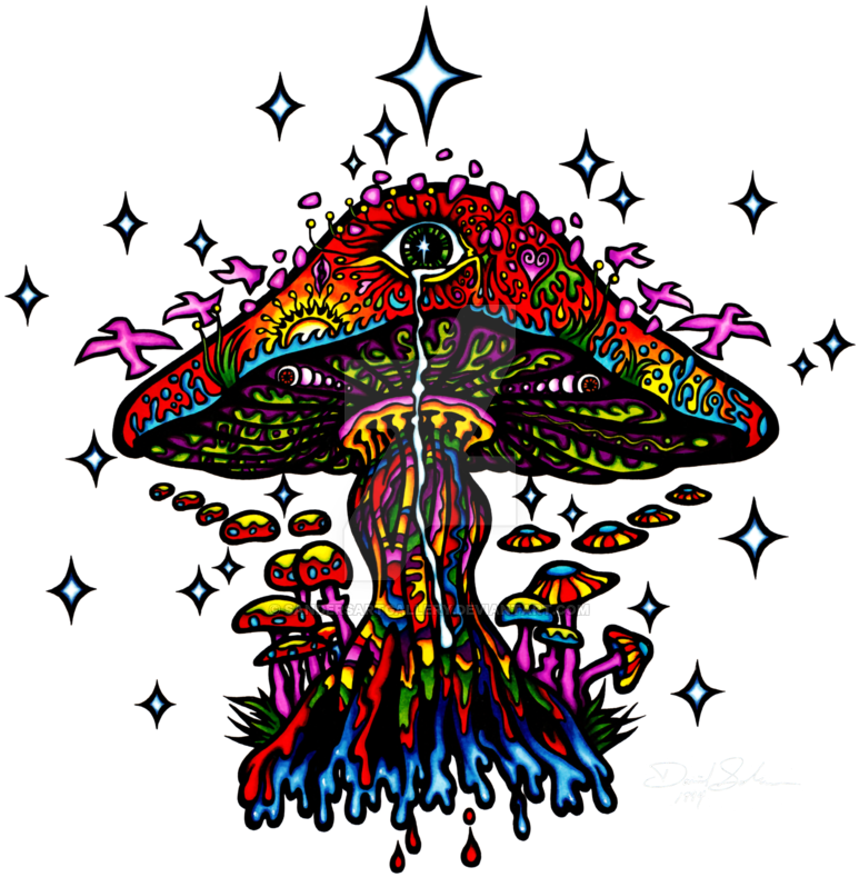 Psychedelic Mushroom - Psychedelic Art Transparent (800x806)