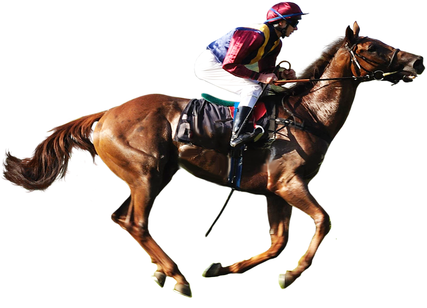 Horse Racing Transparent Background Image - Horse Logo With Transparent Background (873x692)