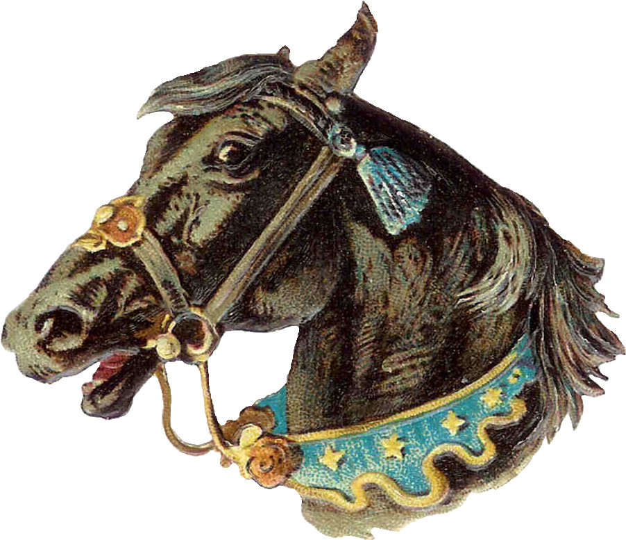 Horse Bridle Cliparts - Vintage Horse Png (1152x1083)